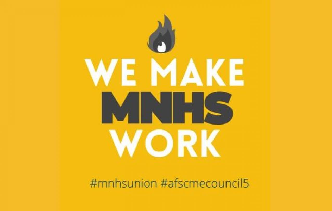 We Make MNHS Work